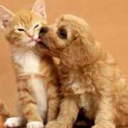 ヒメ日記 2025/04/18 12:46 投稿 さえ 熟女の風俗アウトレット大垣安八羽島店