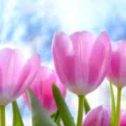 ヒメ日記 2025/04/18 22:59 投稿 さえ 熟女の風俗アウトレット大垣安八羽島店