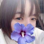 ヒメ日記 2025/05/11 14:48 投稿 ななみ 横浜人妻ヒットパレード（シンデレラグループ）