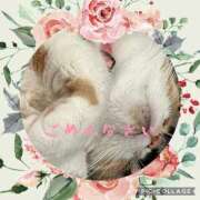 ヒメ日記 2025/08/10 17:38 投稿 ななみ 横浜人妻ヒットパレード（シンデレラグループ）