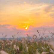 ヒメ日記 2025/10/16 08:07 投稿 いずみ モアグループ川越人妻花壇