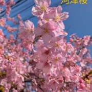 ヒメ日記 2025/03/09 10:00 投稿 高木恵奈(たかぎえな) 五十路マダムエクスプレス厚木店(カサブランカグループ)