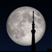 ヒメ日記 2025/03/16 11:34 投稿 高木恵奈(たかぎえな) 五十路マダムエクスプレス厚木店(カサブランカグループ)