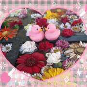 ヒメ日記 2025/05/15 14:28 投稿 高木恵奈(たかぎえな) 五十路マダムエクスプレス厚木店(カサブランカグループ)