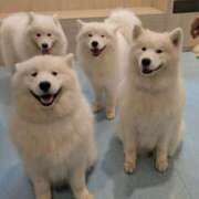 ヒメ日記 2025/09/07 12:52 投稿 高木恵奈(たかぎえな) 五十路マダムエクスプレス厚木店(カサブランカグループ)