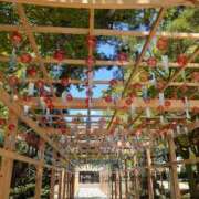 ヒメ日記 2025/09/10 09:50 投稿 高木恵奈(たかぎえな) 五十路マダムエクスプレス厚木店(カサブランカグループ)