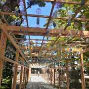 ヒメ日記 2025/09/18 09:40 投稿 高木恵奈(たかぎえな) 五十路マダムエクスプレス厚木店(カサブランカグループ)