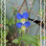 ヒメ日記 2025/10/19 22:38 投稿 高木恵奈(たかぎえな) 五十路マダムエクスプレス厚木店(カサブランカグループ)