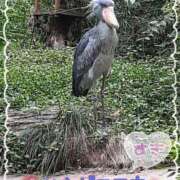 ヒメ日記 2025/10/27 14:36 投稿 高木恵奈(たかぎえな) 五十路マダムエクスプレス厚木店(カサブランカグループ)