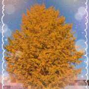 ヒメ日記 2025/12/03 12:18 投稿 高木恵奈(たかぎえな) 五十路マダムエクスプレス厚木店(カサブランカグループ)