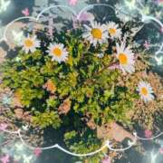 ヒメ日記 2026/01/16 12:02 投稿 高木恵奈(たかぎえな) 五十路マダムエクスプレス厚木店(カサブランカグループ)