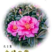 ヒメ日記 2026/01/31 12:02 投稿 高木恵奈(たかぎえな) 五十路マダムエクスプレス厚木店(カサブランカグループ)