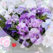 ヒメ日記 2026/02/21 12:20 投稿 高木恵奈(たかぎえな) 五十路マダムエクスプレス厚木店(カサブランカグループ)