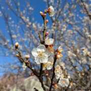ヒメ日記 2026/02/24 13:02 投稿 高木恵奈(たかぎえな) 五十路マダムエクスプレス厚木店(カサブランカグループ)
