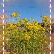 ヒメ日記 2026/03/10 12:02 投稿 高木恵奈(たかぎえな) 五十路マダムエクスプレス厚木店(カサブランカグループ)