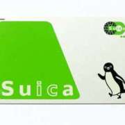 ヒメ日記 2026/03/11 17:32 投稿 高木恵奈(たかぎえな) 五十路マダムエクスプレス厚木店(カサブランカグループ)