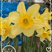 ヒメ日記 2026/03/14 12:36 投稿 高木恵奈(たかぎえな) 五十路マダムエクスプレス厚木店(カサブランカグループ)