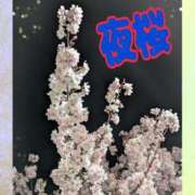 ヒメ日記 2026/03/19 12:24 投稿 高木恵奈(たかぎえな) 五十路マダムエクスプレス厚木店(カサブランカグループ)