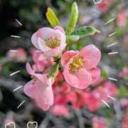 ヒメ日記 2026/03/22 12:32 投稿 高木恵奈(たかぎえな) 五十路マダムエクスプレス厚木店(カサブランカグループ)