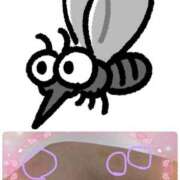 ヒメ日記 2026/04/04 12:32 投稿 高木恵奈(たかぎえな) 五十路マダムエクスプレス厚木店(カサブランカグループ)