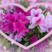 ヒメ日記 2026/04/15 12:20 投稿 高木恵奈(たかぎえな) 五十路マダムエクスプレス厚木店(カサブランカグループ)