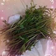 ヒメ日記 2026/04/16 12:02 投稿 高木恵奈(たかぎえな) 五十路マダムエクスプレス厚木店(カサブランカグループ)