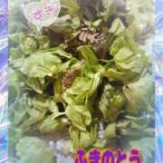 ヒメ日記 2026/04/19 12:18 投稿 高木恵奈(たかぎえな) 五十路マダムエクスプレス厚木店(カサブランカグループ)