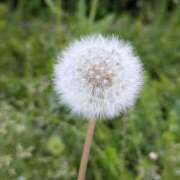 ヒメ日記 2026/04/21 12:02 投稿 高木恵奈(たかぎえな) 五十路マダムエクスプレス厚木店(カサブランカグループ)