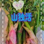 ヒメ日記 2026/04/28 12:18 投稿 高木恵奈(たかぎえな) 五十路マダムエクスプレス厚木店(カサブランカグループ)