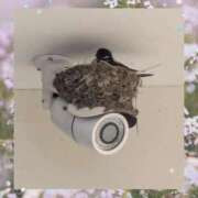 ヒメ日記 2026/06/11 12:32 投稿 高木恵奈(たかぎえな) 五十路マダムエクスプレス厚木店(カサブランカグループ)