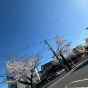 ヒメ日記 2025/04/06 15:56 投稿 えま ニュー不夜城