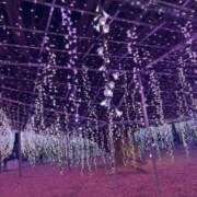 ヒメ日記 2025/12/21 14:36 投稿 えま ニュー不夜城