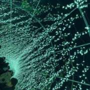 えま ごめんなさい。 ニュー不夜城