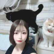 ヒメ日記 2025/07/22 22:13 投稿 あゆ アニバーサリー