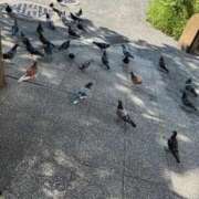 ヒメ日記 2025/09/21 03:27 投稿 あゆ アニバーサリー