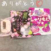 ヒメ日記 2025/03/04 23:44 投稿 もえか いざ候 別館