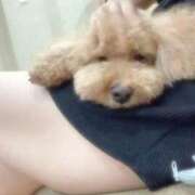 ヒメ日記 2025/08/23 23:54 投稿 もえか いざ候 別館