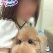 ヒメ日記 2025/11/17 14:14 投稿 もえか いざ候 別館