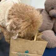 ヒメ日記 2025/12/28 23:54 投稿 もえか いざ候 別館