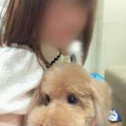 ヒメ日記 2026/01/17 15:14 投稿 もえか いざ候 別館