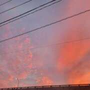 ヒメ日記 2025/02/06 22:02 投稿 ゆめピュアな素人美女 ラヴァーズ