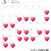 ヒメ日記 2025/02/24 07:55 投稿 菜月理亜 ハールブルク