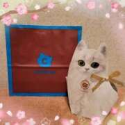 ヒメ日記 2025/04/01 02:09 投稿 菜月理亜 ハールブルク