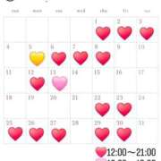 ヒメ日記 2025/04/28 11:22 投稿 菜月理亜 ハールブルク