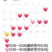 ヒメ日記 2025/08/01 23:05 投稿 菜月理亜 ハールブルク