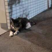 ヒメ日記 2025/08/14 20:28 投稿 菜月理亜 ハールブルク