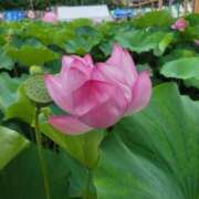 ヒメ日記 2025/09/07 08:15 投稿 菜月理亜 ハールブルク