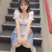 ヒメ日記 2025/10/11 01:55 投稿 菜月理亜 ハールブルク