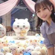 ヒメ日記 2025/10/20 12:27 投稿 菜月理亜 ハールブルク