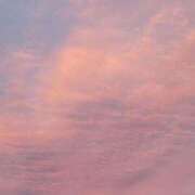 ヒメ日記 2025/11/02 23:51 投稿 菜月理亜 ハールブルク